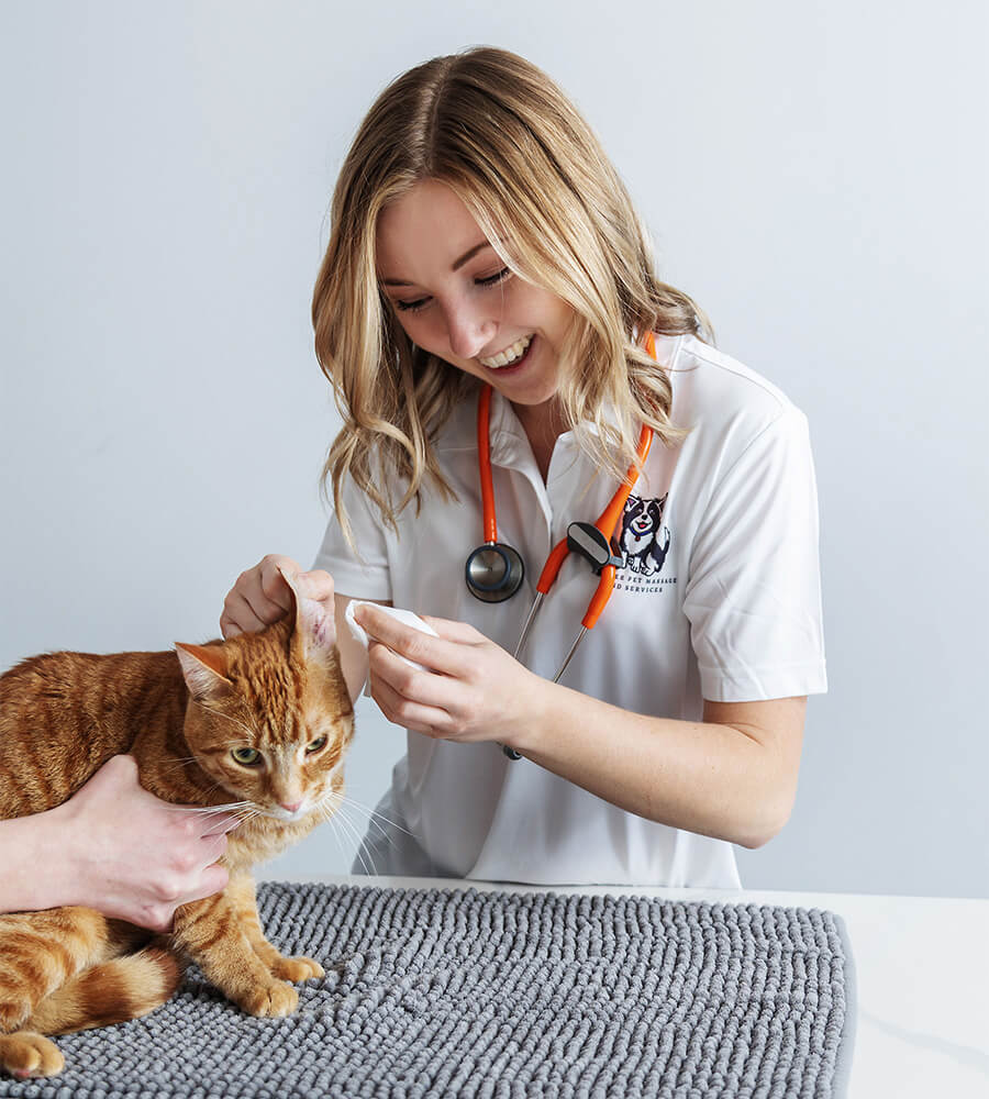 In-Home Vet Technician cleaning a cats ears